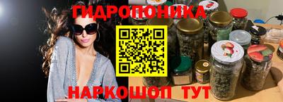 ГАЛЛЮЦИНОГЕННЫЕ ГРИБЫ Берёзовский