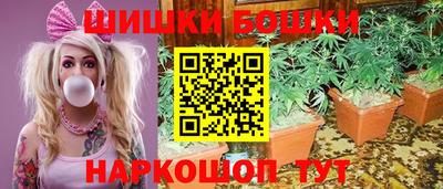 ГАЛЛЮЦИНОГЕННЫЕ ГРИБЫ Берёзовский