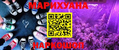 ГАЛЛЮЦИНОГЕННЫЕ ГРИБЫ Берёзовский