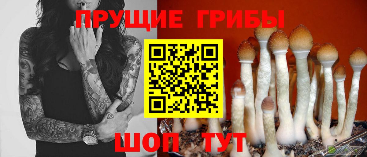 Псилоцибиновые грибы ЛСД Конаково